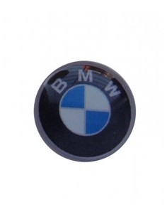 BMW-77 BMW epoxy key...