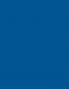 Key blank U5D BLUE 2