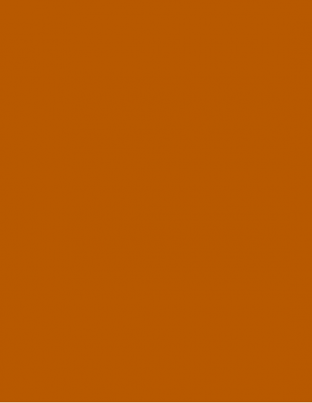 Key blank U5D ORANGE