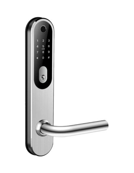 Smart door handle Aras S Silver