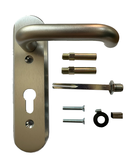 Door handle Disec TF002LTX1 Satin Chrome Universal