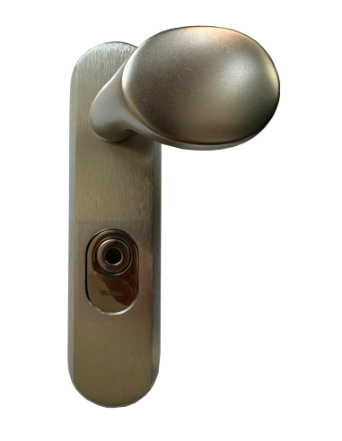 Door handle Disec TF002LTX1 Satin...