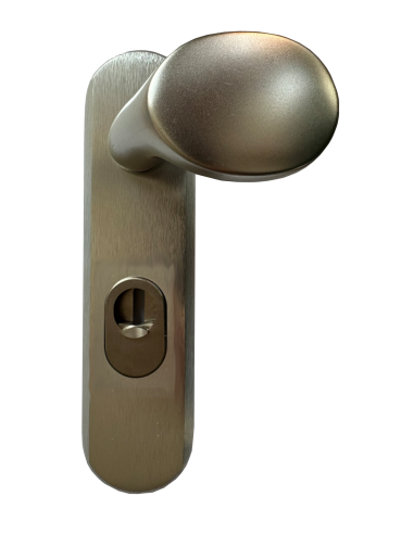 Door handle Disec TF002LTD1MG Satin...