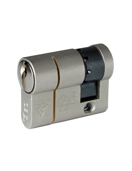 Lock cylinder Iseo F6 Extra 40 30X10 mm SKG***