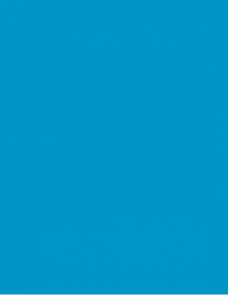 Key blank U5DLN LIGHT BLUE