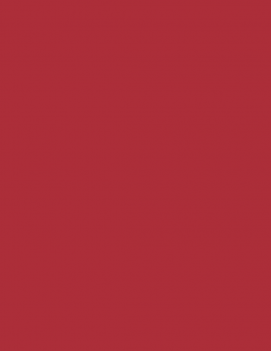 Key blank U5DLN RED