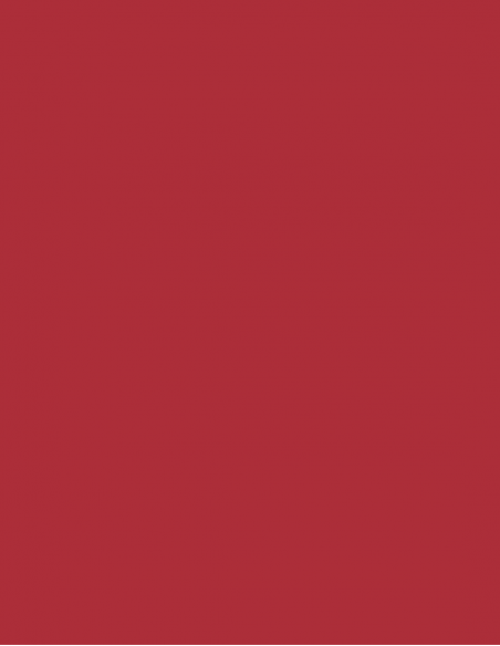 Key blank U5DLN RED
