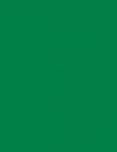 Key blank U5DLN GREEN