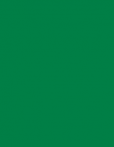 Key blank U5DLN GREEN