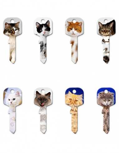 Key blank U5DY CATS