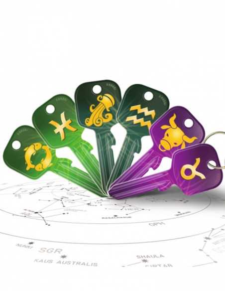 Key blank U5DY ZODIAC