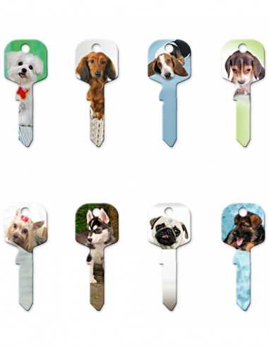 Key blank U5DY DOGS